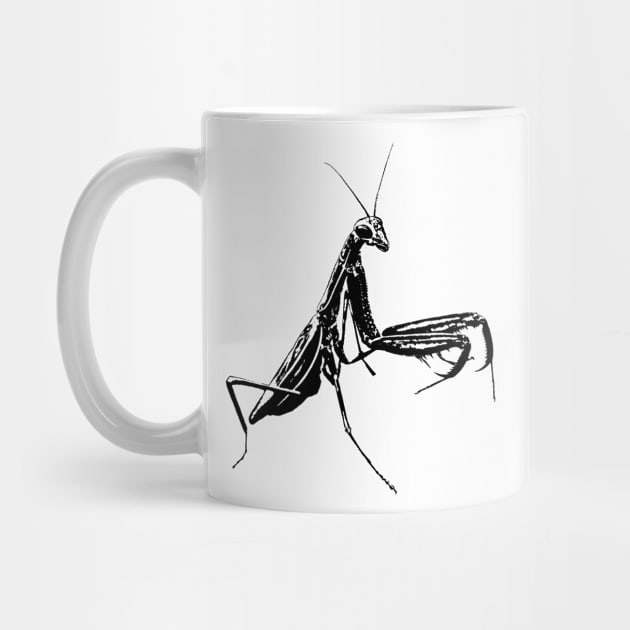 Mantis / Insect by R LANG GRAPHICS